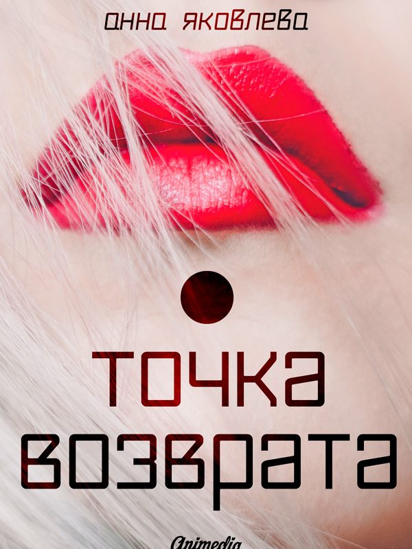 Обложка книги «Точка возврата»
