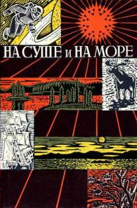 Обложка книги «Если это случится…»