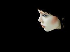 Обложка книги «Волчица (СИ)»