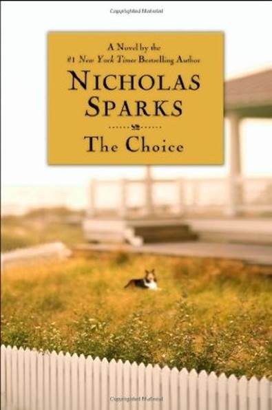 Обложка книги «The Choice»