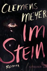 Обложка книги «Im Stein»