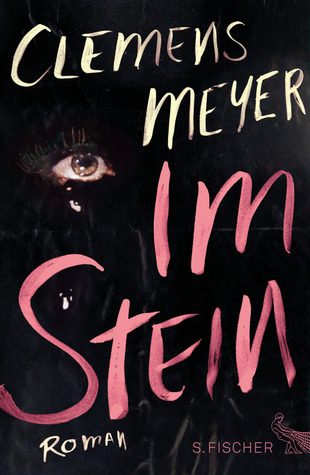 Обложка книги «Im Stein»