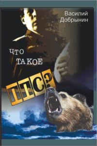 Обложка книги «Что такое ППС?»