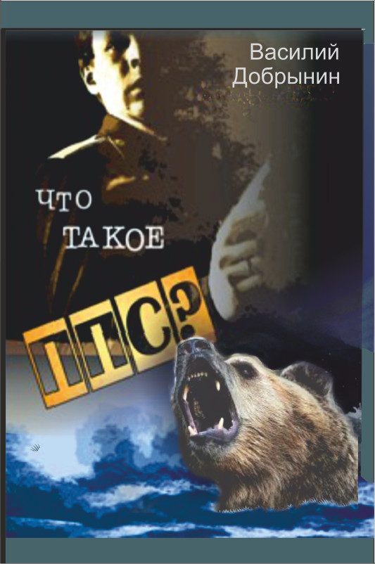 Обложка книги «Что такое ППС?»