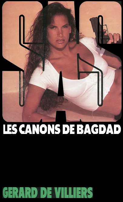 Обложка книги «Les canons de Bagdad»