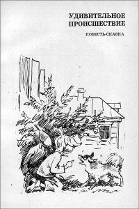 Обложка книги «Удивительное происшествие»