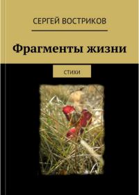Обложка книги «Фрагменты жизни»