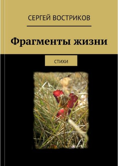 Обложка книги «Фрагменты жизни»