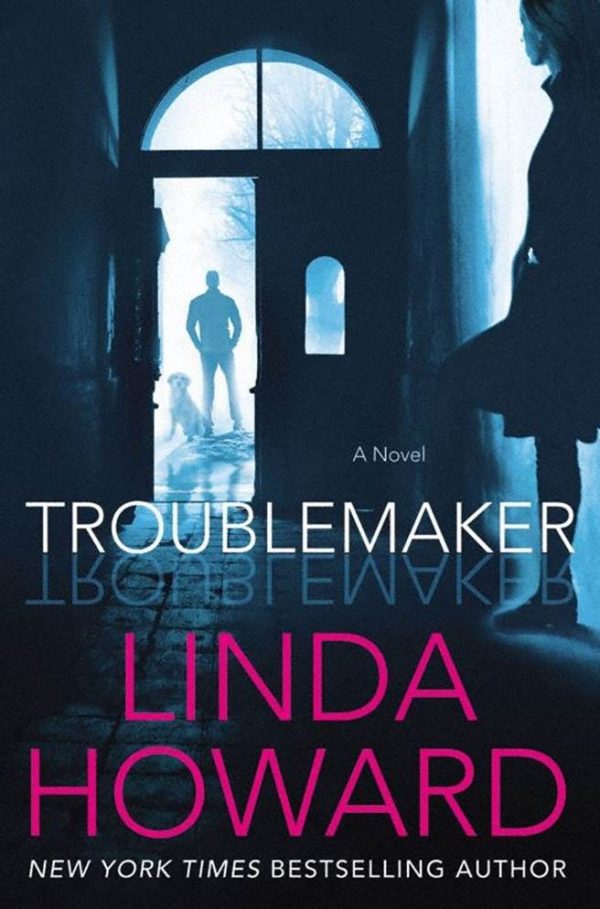 Обложка книги «Troublemaker»