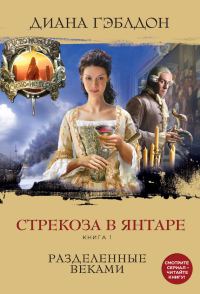 Обложка книги «Стрекоза в янтаре. Книга 1. Разделенные веками»