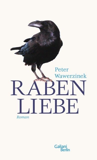 Обложка книги «Rabenliebe»