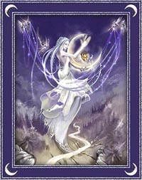 Обложка книги «Портрет незнакомки»