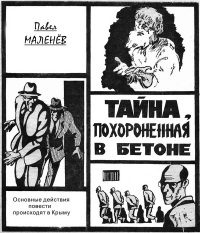 Обложка книги «Тайна, похороненная в бетоне»