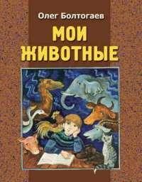 Обложка книги «Соломон»