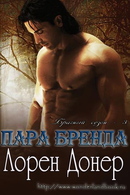 Обложка книги «Пара Бренда»