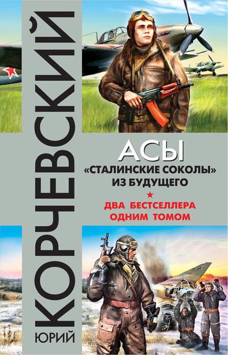 Обложка книги «Асы. «Сталинские соколы» из будущего»