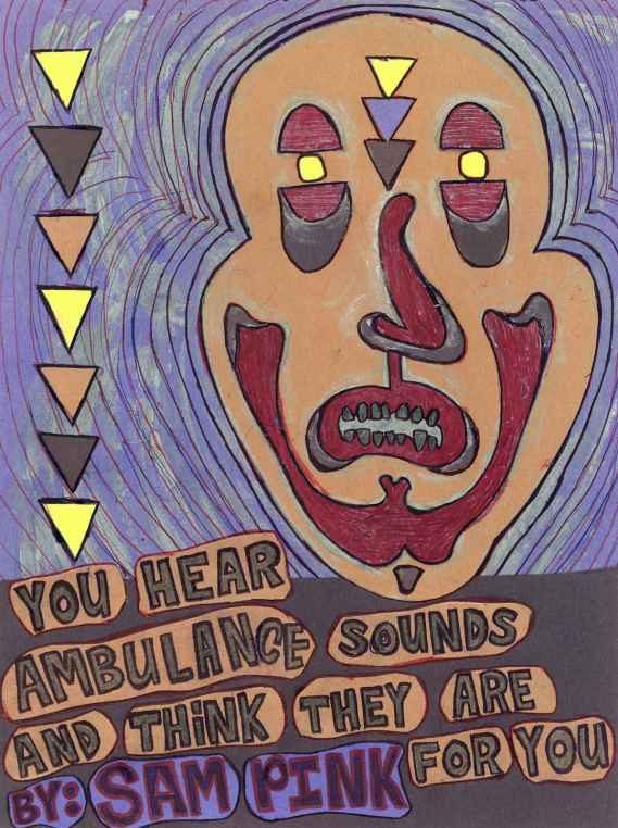 Обложка книги «You Hear Ambulance Sounds and Think They Are for You»