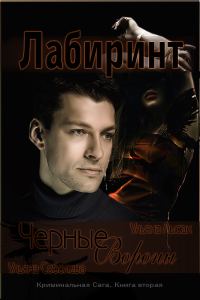Обложка книги «Черные Вороны. Лабиринт»