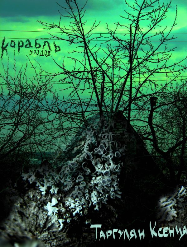 Обложка книги «Корабль уродов»