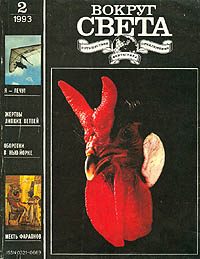 Обложка книги «Гамма-южная»