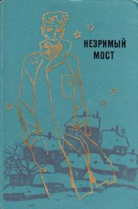 Обложка книги «Рассеянность Алика Семина»