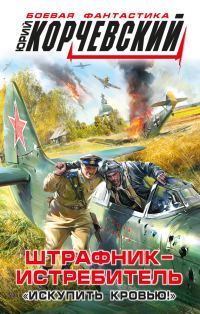 Обложка книги «Штрафник-истребитель. «Искупить кровью!»»