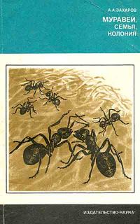 Обложка книги «Муравей, семья, колония»
