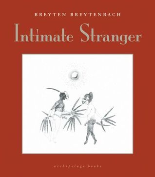 Обложка книги «Intimate Stranger»