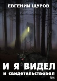 Обложка книги «И я видел и свидетельствовал»