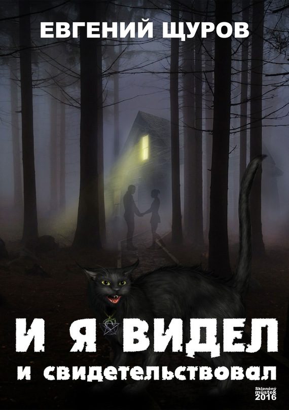 Обложка книги «И я видел и свидетельствовал»
