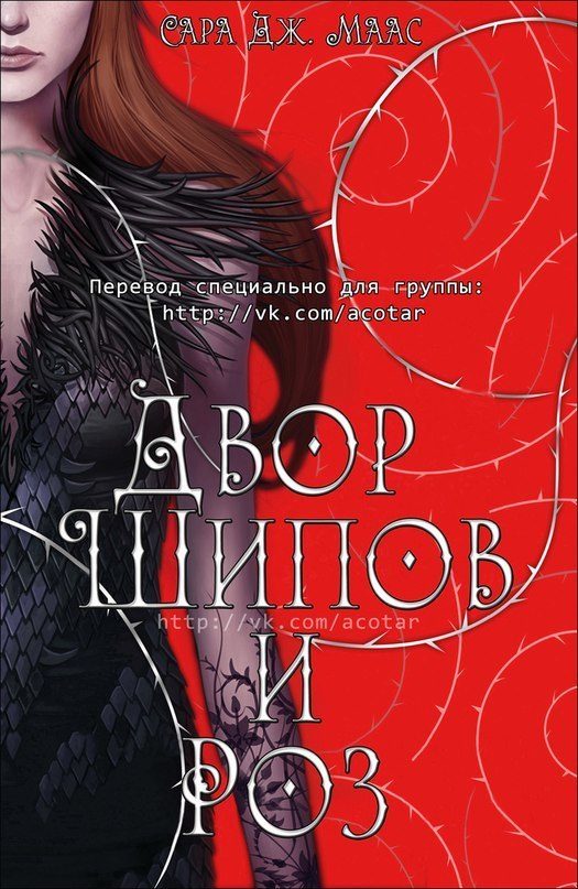 Обложка книги «Двор шипов и роз»