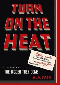 Обложка книги «Turn on the Heat»