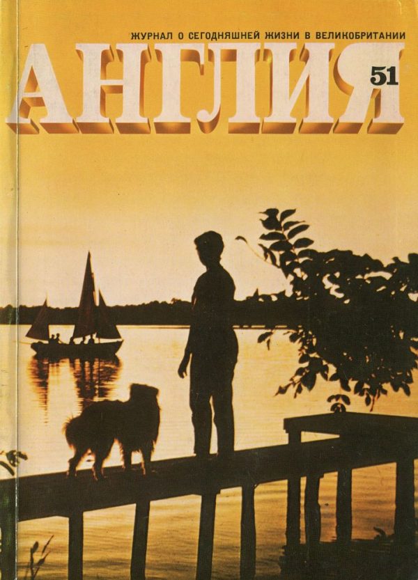 Обложка книги «Мистер Стоун и «Рыцари-сподвижники» (отрывок)»