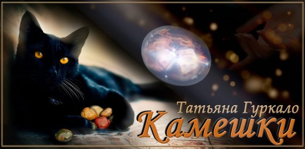Обложка книги «Камешки»