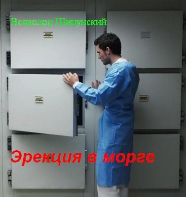 Обложка книги «Эрекция в морге (СИ)»