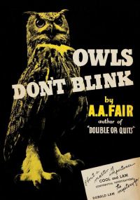 Обложка книги «Owls Don't Blink»