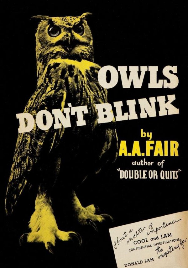 Обложка книги «Owls Don't Blink»