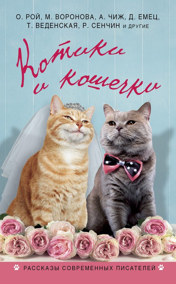 Обложка книги «Котики и кошечки»