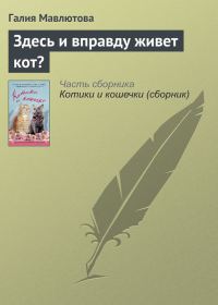 Обложка книги «Здесь и вправду живет кот?»