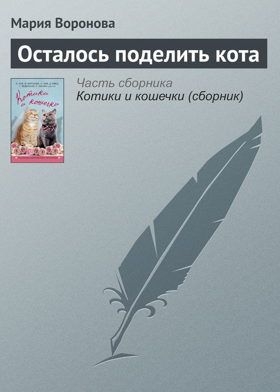 Обложка книги «Осталось поделить кота»