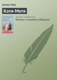 Обложка книги «Котя-Мотя»