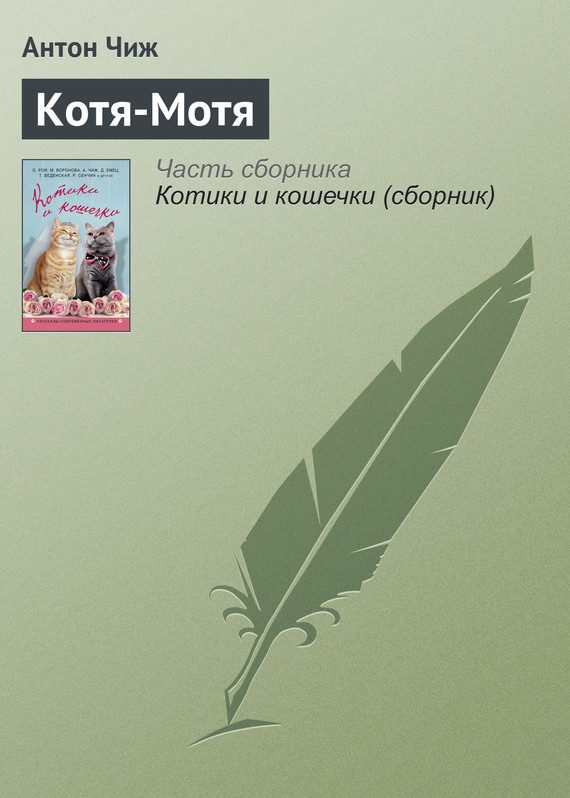 Обложка книги «Котя-Мотя»