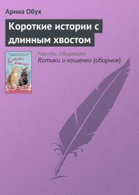 Обложка книги «Короткие истории с длинным хвостом»