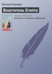 Обложка книги «Властитель Египта»