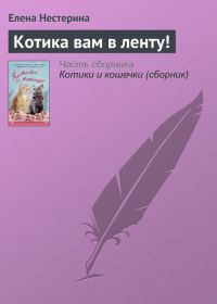 Обложка книги «Котика вам в ленту!»