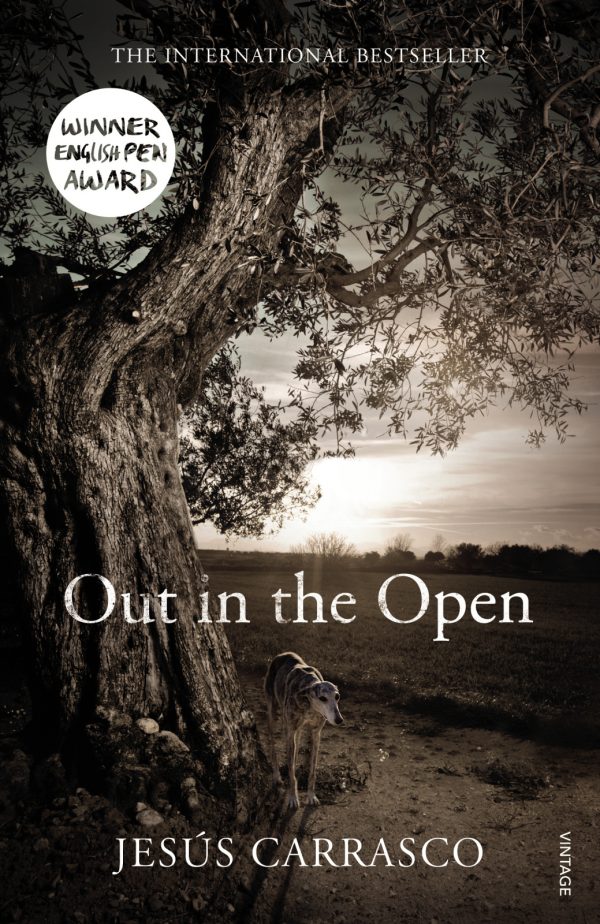 Обложка книги «Out in the Open»