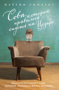 Обложка книги «Сова, которой нравилось сидеть на Цезаре»
