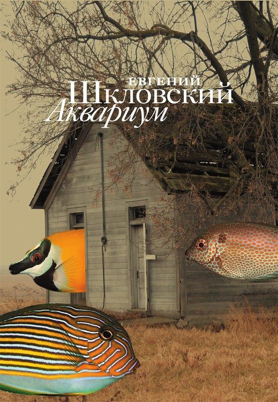 Обложка книги «Аквариум (сборник)»