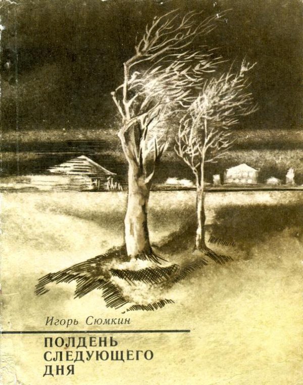 Обложка книги «Полдень следующего дня»