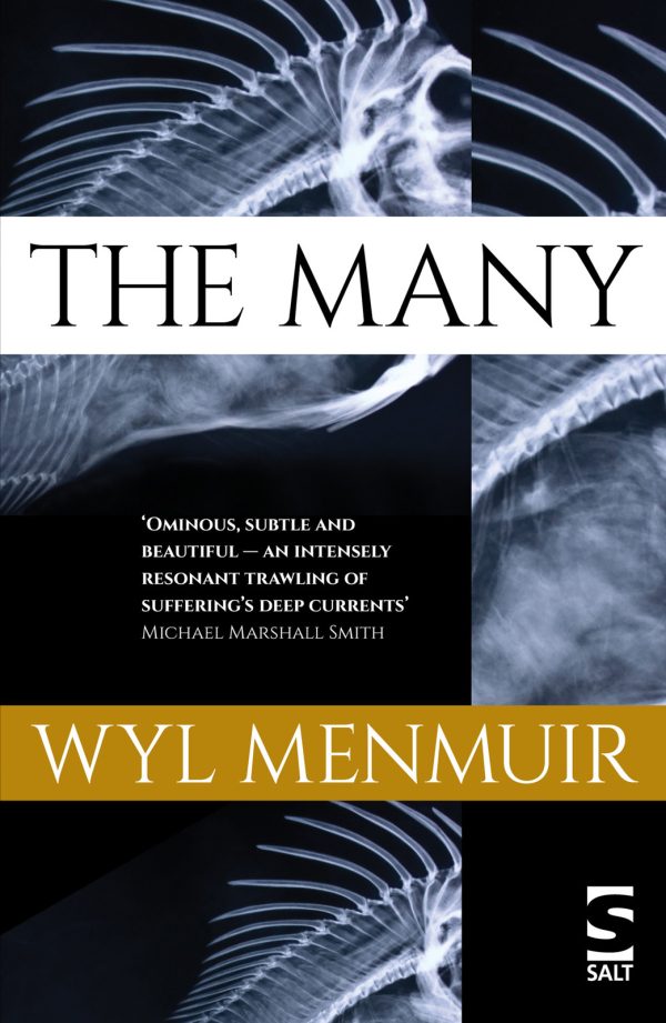 Обложка книги «The Many»